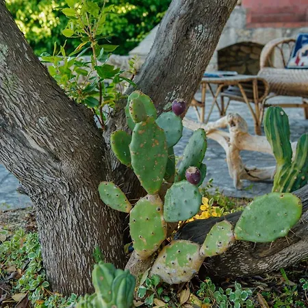 Tatil Evi Casa Itaca Marittima
